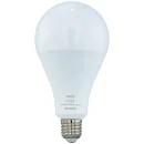 لامپ حبابی 25w PGT